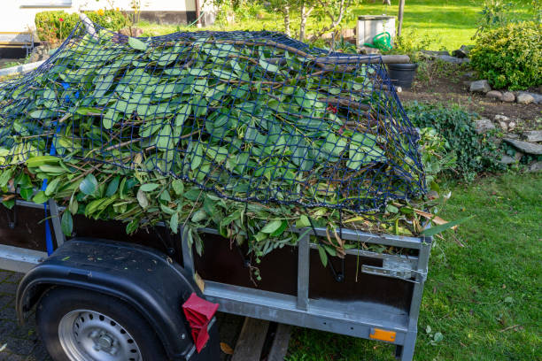 Best Same-Day Junk Removal Services  in Fairview, TX